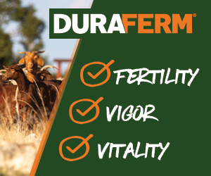 Special advertising offer